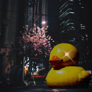 Meet your Posher, Faith